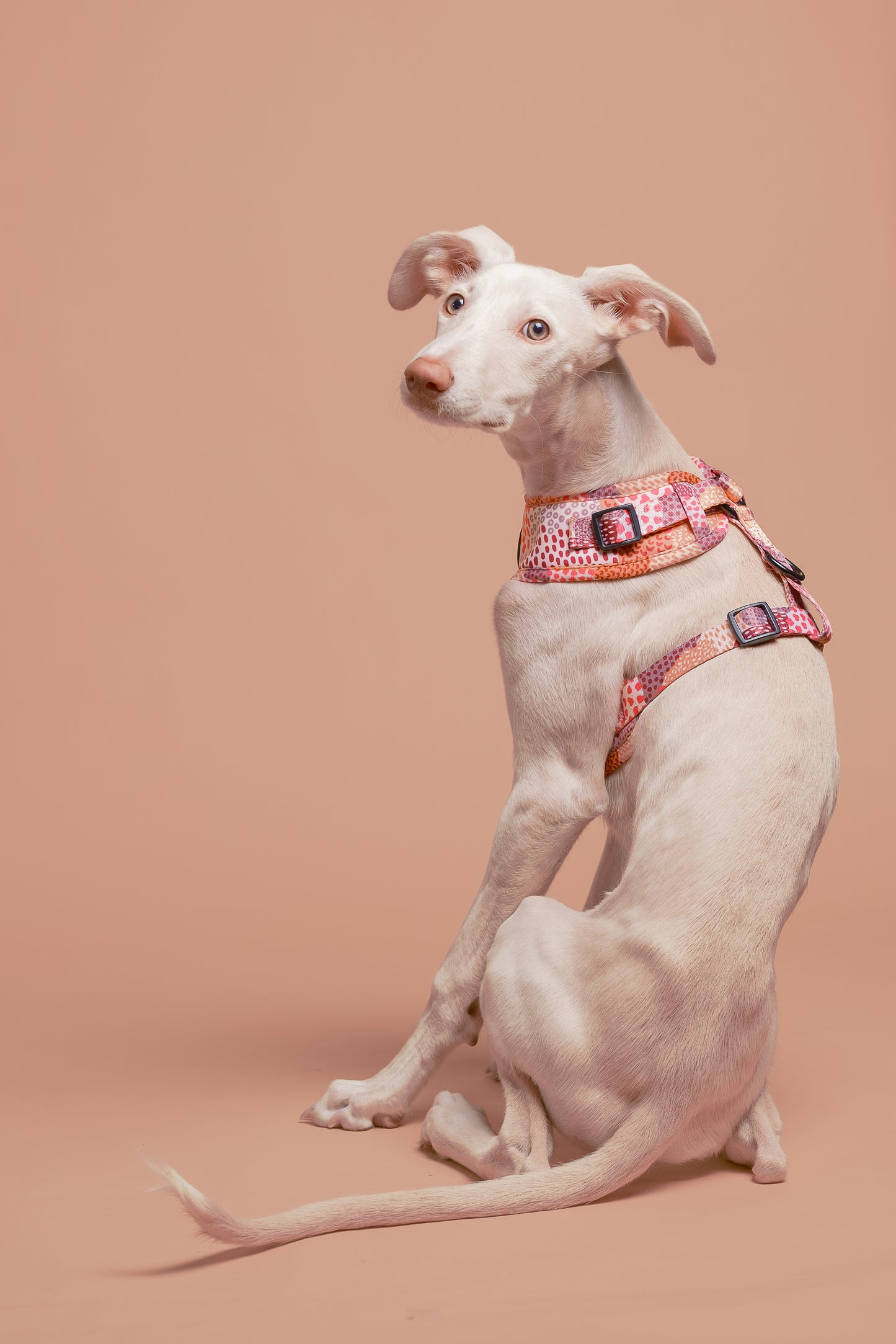 Arnés ajustable MESSY PINK