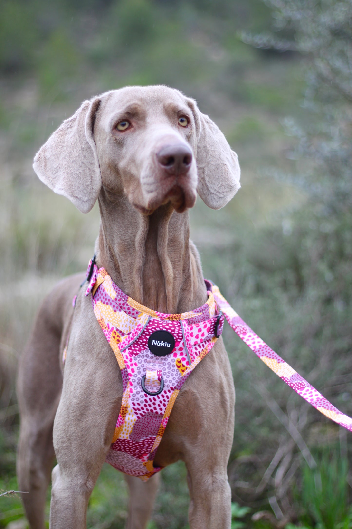 Arnés PawVenture MESSY PINK
