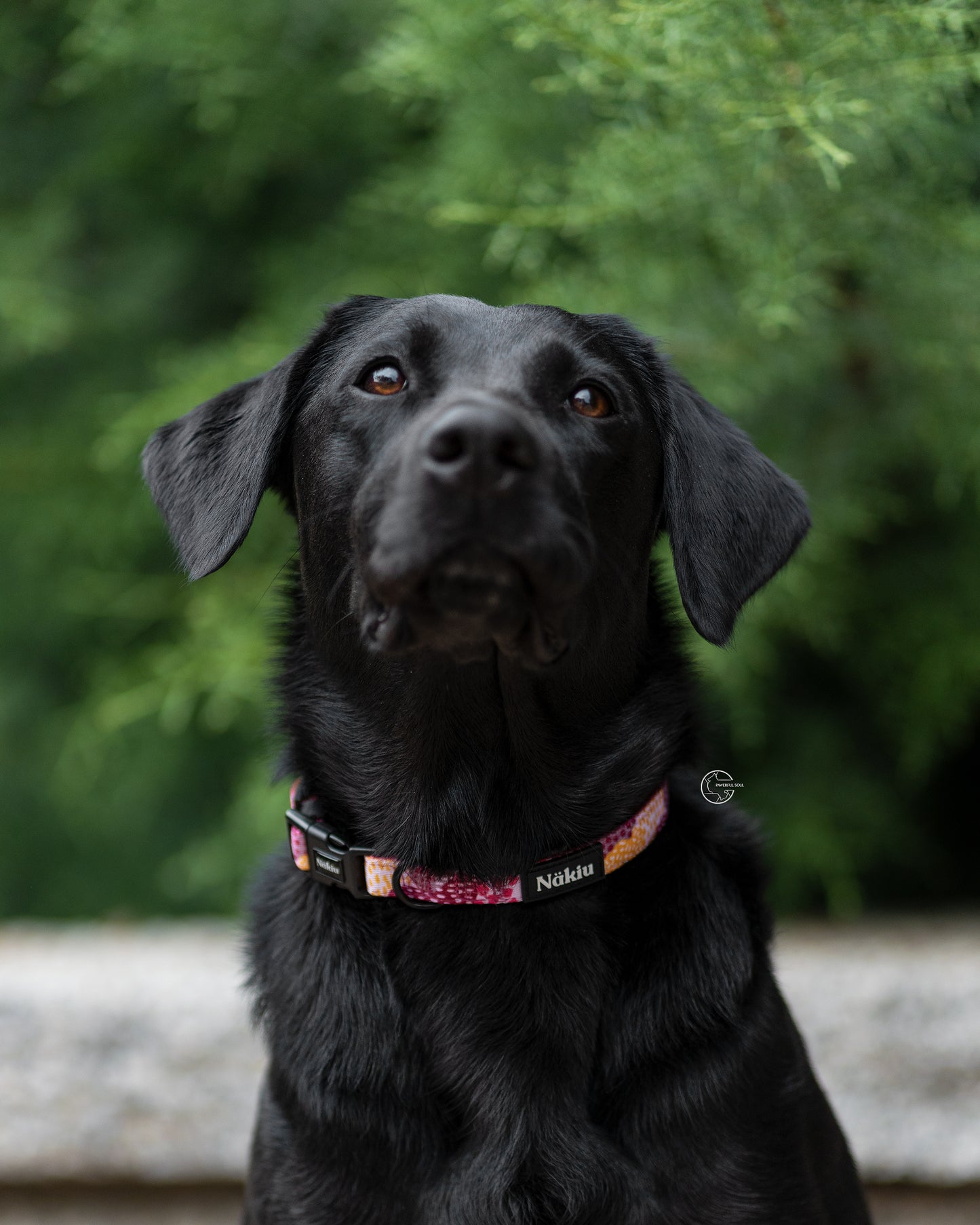 Collar MESSY PINK