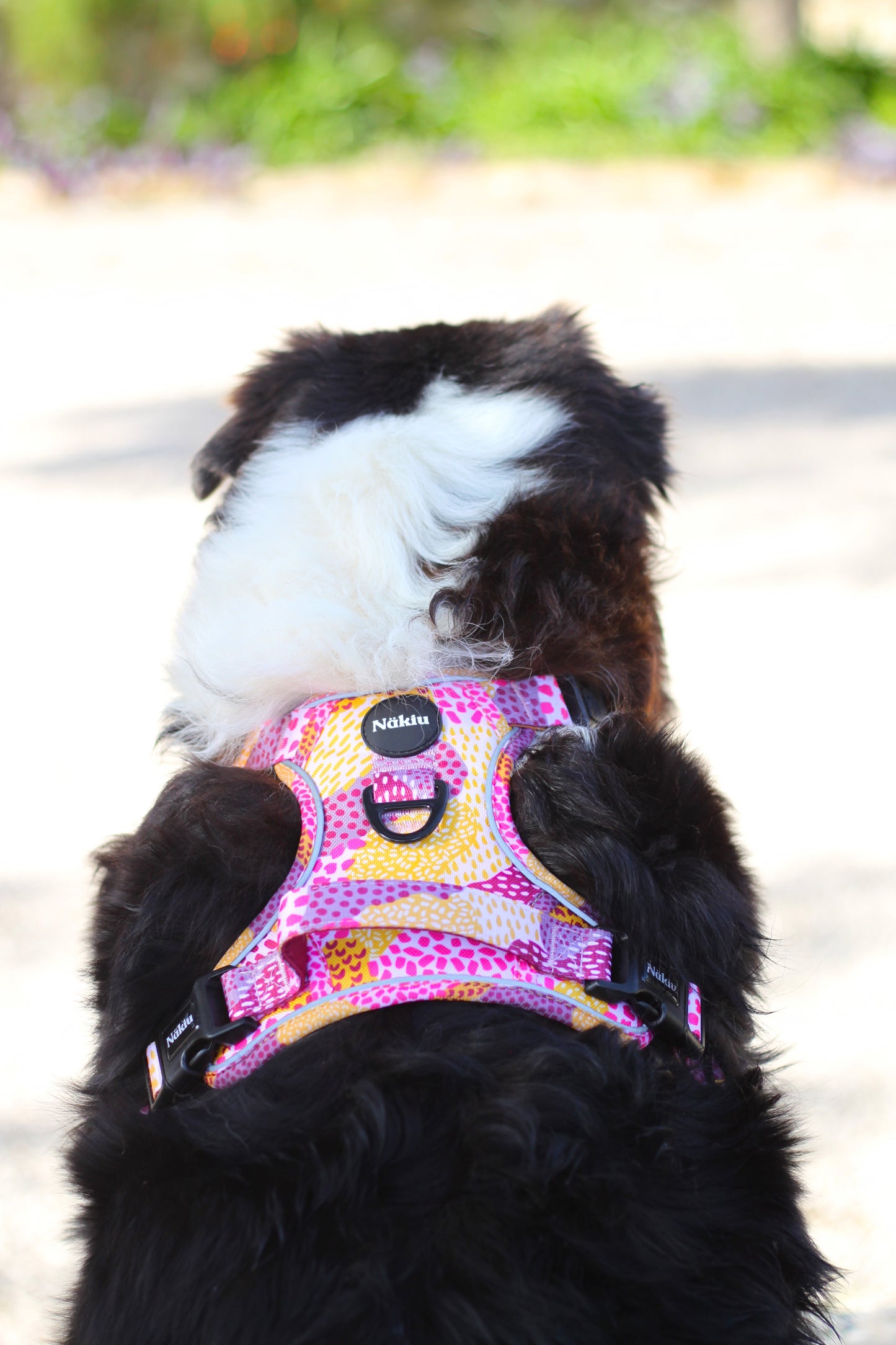 Arnés PawVenture MESSY PINK