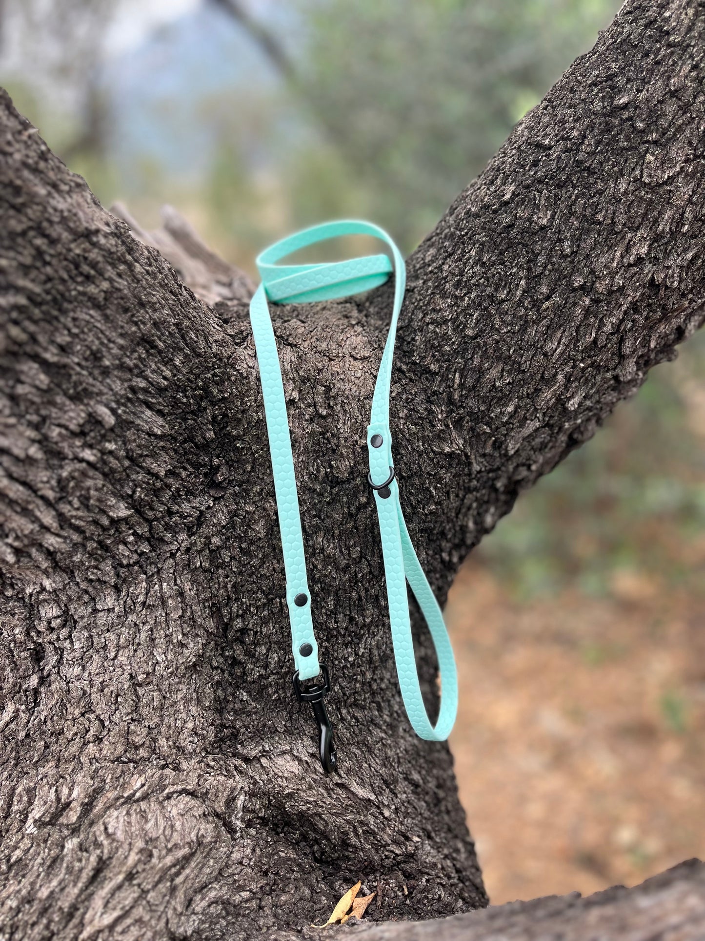 Correa de MINI Cinta Hexa TURQUESA