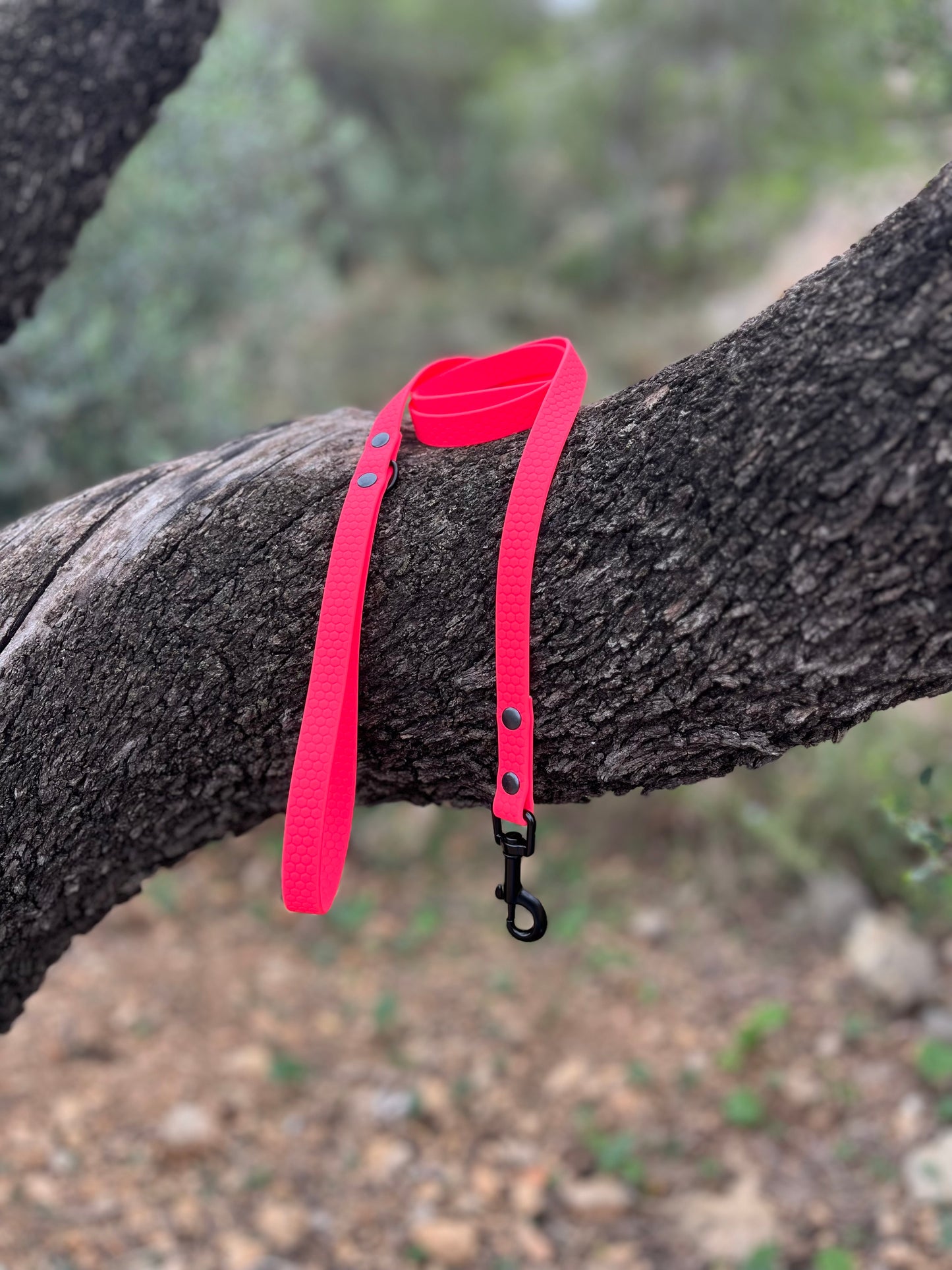 Correa Cinta Hexa FLÚOR