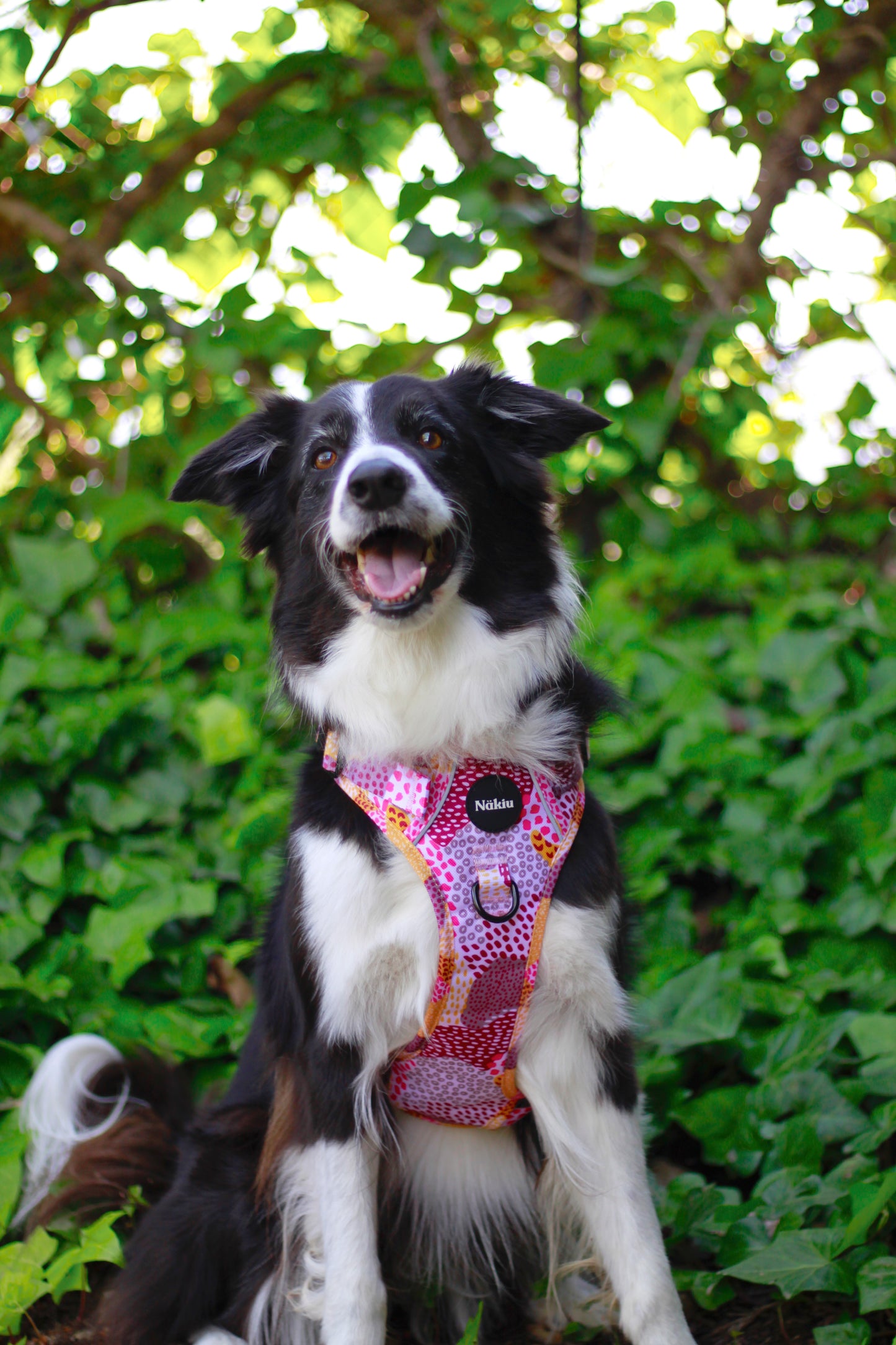 Arnés PawVenture MESSY PINK