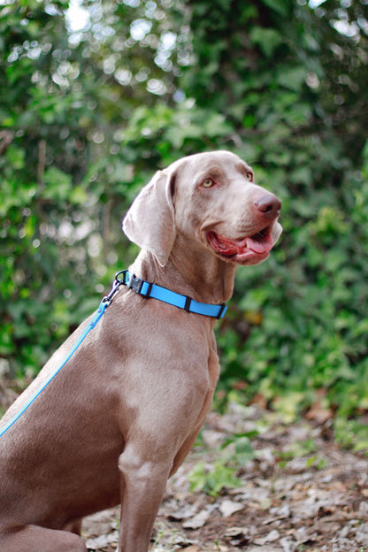 Collar Cinta Hexa AZUL